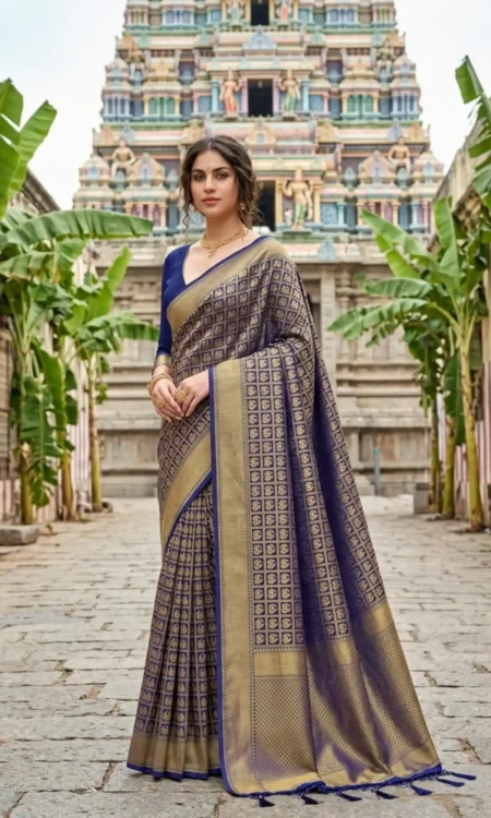 Midnight Blue Kanjivaram Silk Saree