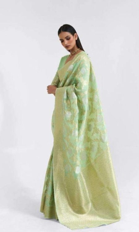 #1140 - Pista green Chanderi saree with gold embellishment - Muhurat Collections